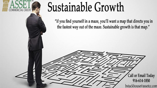 Sustainable Growth